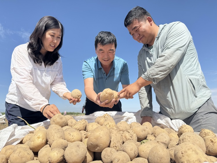 甘肅張掖山丹：爭做“膜”范生！全生物可降解地膜“幫大忙”_fororder_2.JPG