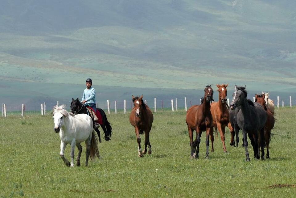 詩意中國丨牧馬祁連 延綿千年_fororder_9