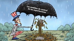 【Caricatura editorial】"Paraguas"