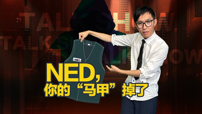 NED，你的“馬甲”掉了