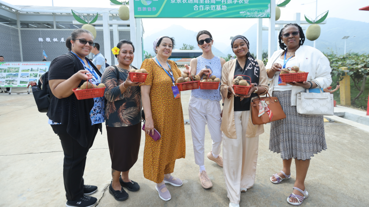 2024 Ambassadors' Wives' Trip to Xi'an, Zhouzhi County_fororder_圖片7