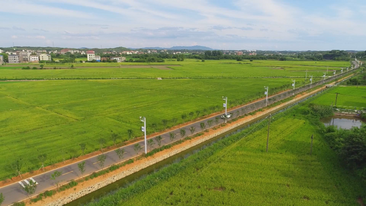 湖南衡陽縣全力推進高標準農田建設  持續築牢糧食安全根基_fororder_圖片3