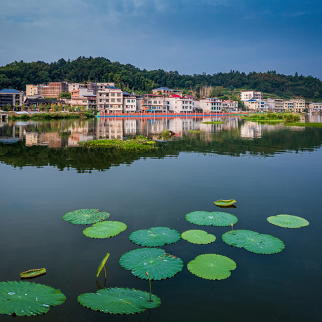 湖南邵陽天子湖濕地公園——碧水青山間的璀璨明珠