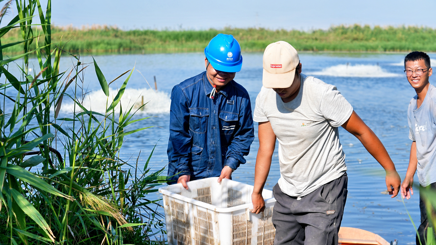 Sufficient Electricity Brings Prosperity to the People: Cultivating 'Freshness' in Saline-Alkali Land_fororder_圖片5