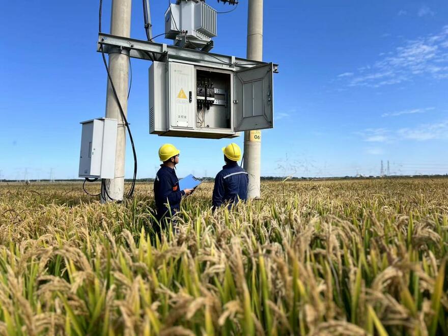 Liaoning Tieling Power Supply Company Helps Farmers Increase Production and Income_fororder_王魯平委託代評函