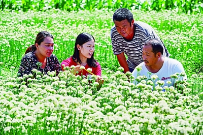 知識分子愛國奮鬥精神的傳承與踐行