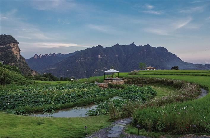 體驗農耕文化 賞曬秋美景