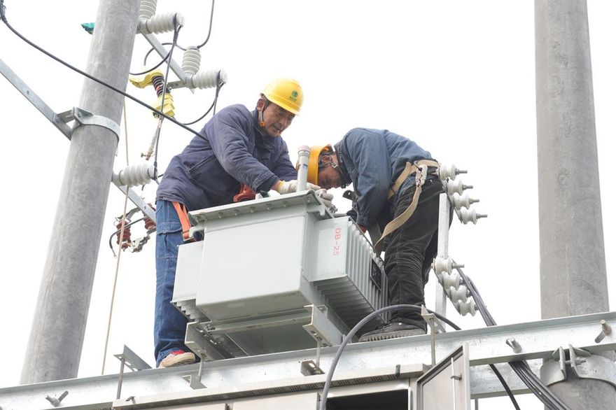 Power Supply Company in Jiaozuo City, Henan Province Safeguards the Development of New Quality Productive Forces in Rural Breeding with Reliable Power Supply