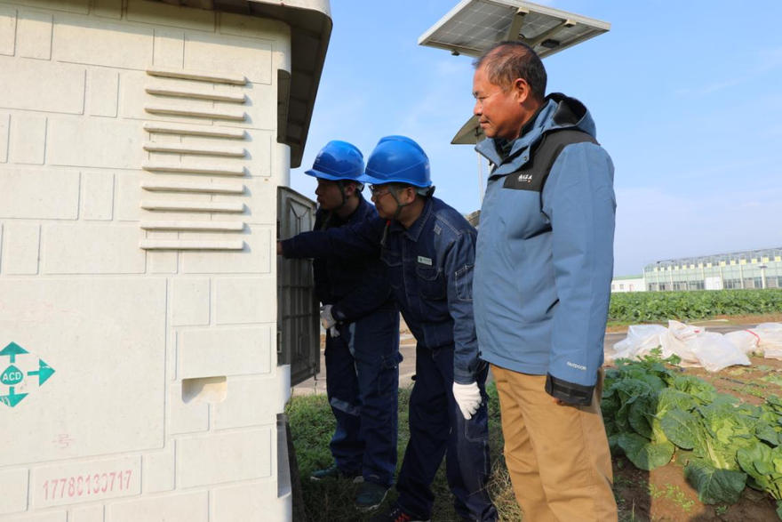 State Grid Xuchang Power Supply Company empowers the development of the vegetable industry with sufficient electricity