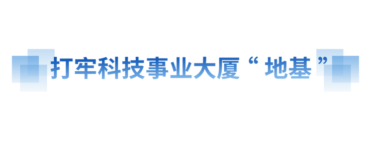 奮進的春天丨向“新”而行 提“質”而上