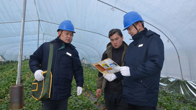 Jiaozuo, Henan: Smart Power Fuels the Vibrant Development of Modern Planting Industry