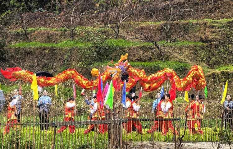 湖南桂東舉行“我們的節日—麻雀節”民俗文化主題活動_fororder_圖片2