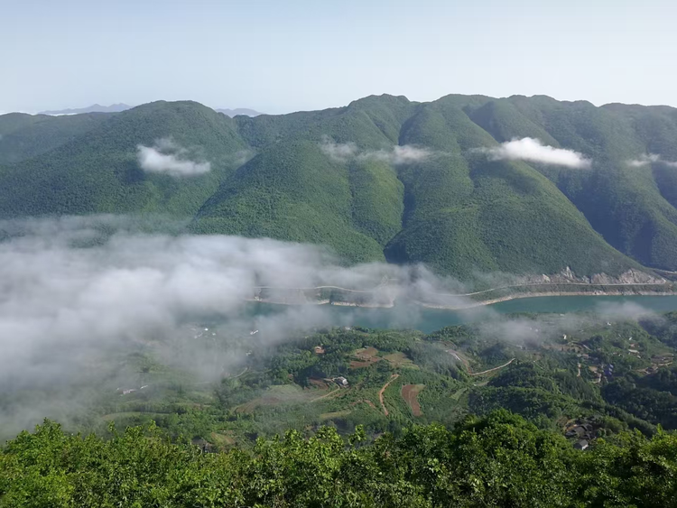 常德是個好地方｜山水之間 打造雲霧茶香文旅新畫卷