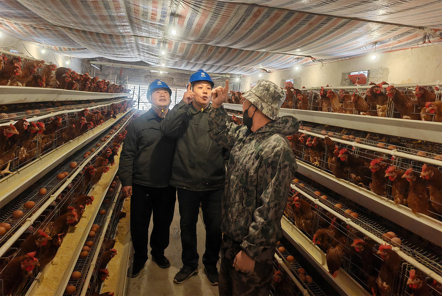 Jiaozuo City in Henan Province Safeguards Its Characteristic Breeding Industry Chain with a Stable Power Supply