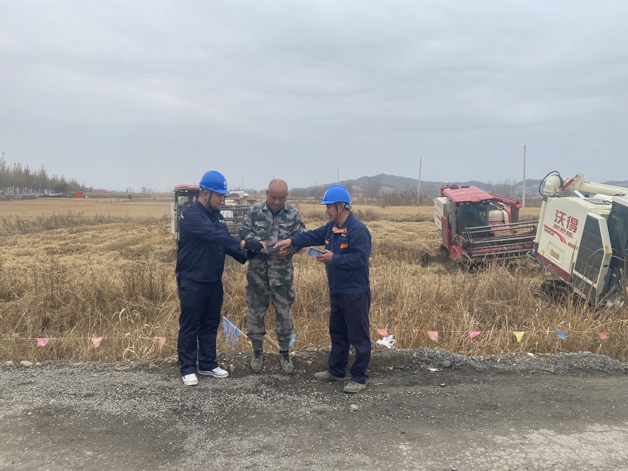 State Grid Fushun Power Supply Company Assists in a Bumper Harvest