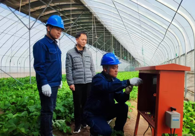 State Grid Xuchang Power Supply Company coordinates city and county efforts to meet the electricity demands of agricultural production in winter