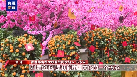 喜樂安寧中國年 香港年宵花市香四溢