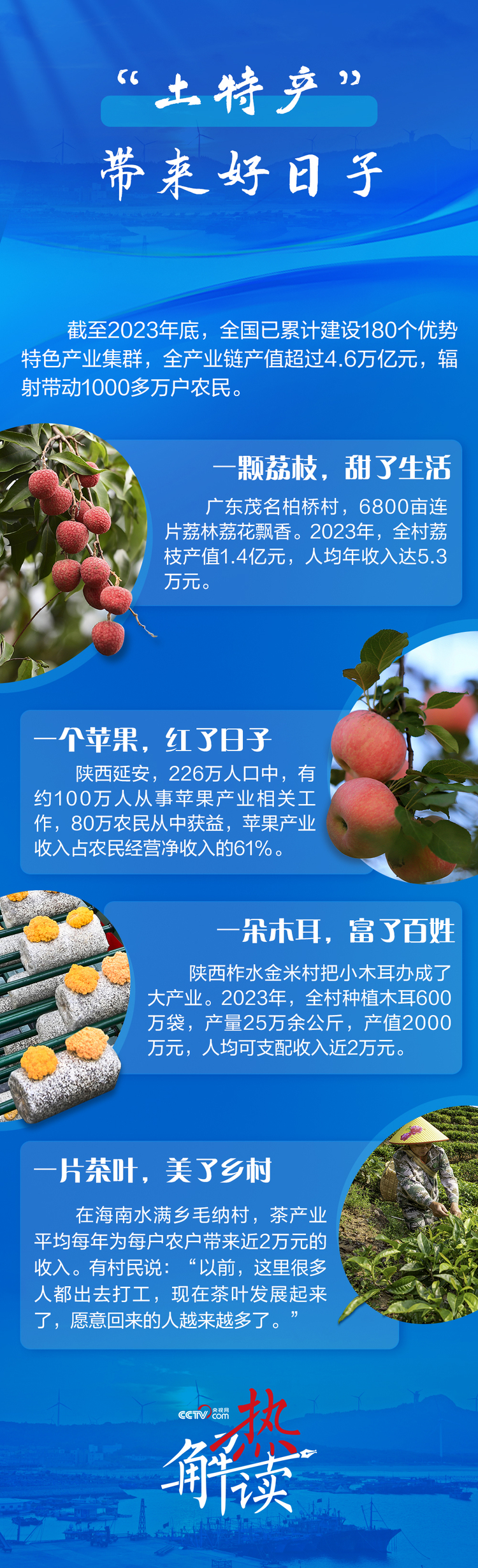 熱解讀｜這篇“海”的文章 蘊藏著中國鄉村振興密碼