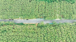 環熱帶雨林國家公園旅遊公路正式通車