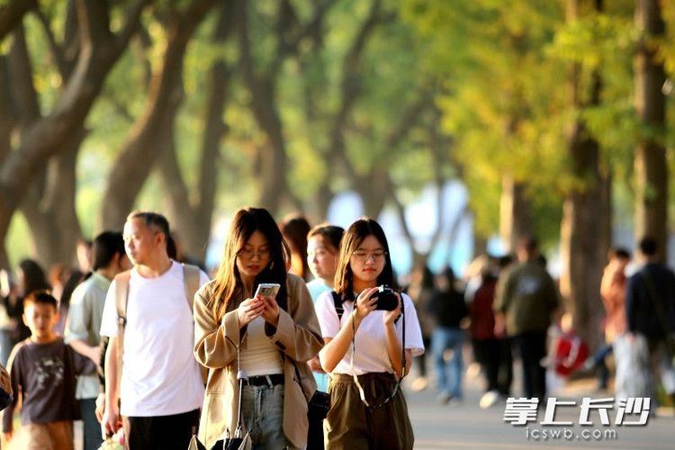 組圖｜滿園秋冬色 露營好時節