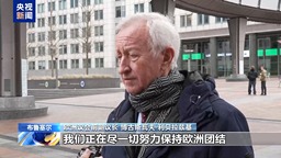 總臺記者專訪丨歐洲議會前副議長：歐洲應擺脫追隨美國政策 追求戰略自主