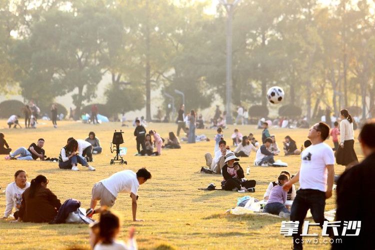 組圖｜滿園秋冬色 露營好時節