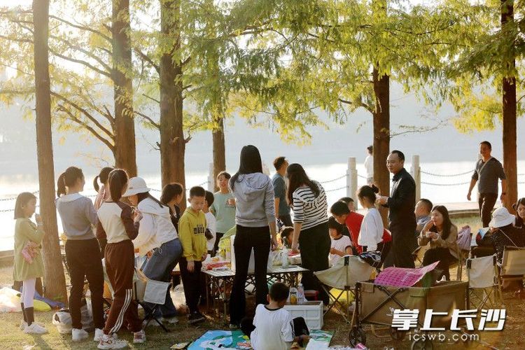 組圖｜滿園秋冬色 露營好時節