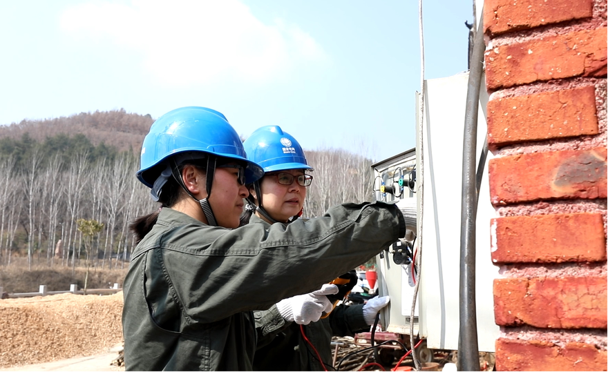 Nanyang, Henan: Quality Power Fuels the Development of Beautiful Villages_fororder_圖片1