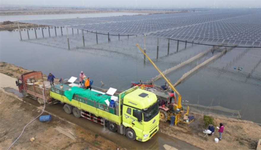 Tianmen, Hubei: Energy Revolution Powers a "Green Spring Festival"