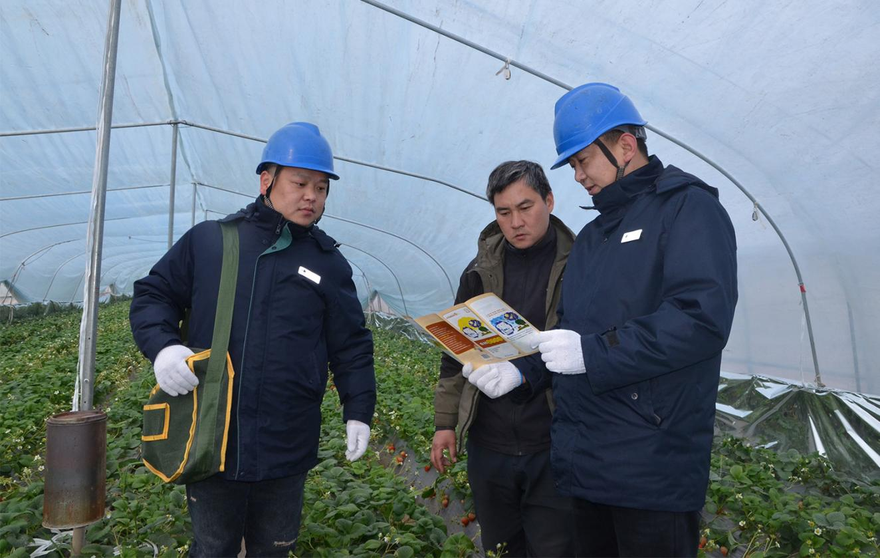 Jiaozuo, Henan: Smart Power Fuels the Vibrant Development of Modern Planting Industry_fororder_圖片1