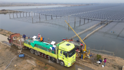 Tianmen, Hubei: Energy Revolution Powers a "Green Spring Festival"