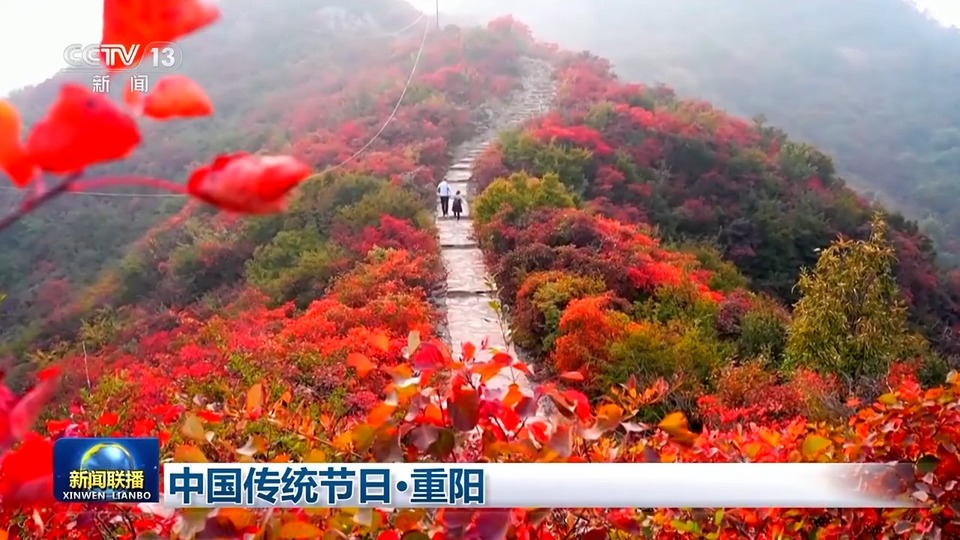 文化中國行丨金秋重陽 觀紅葉爛漫望遼闊山川