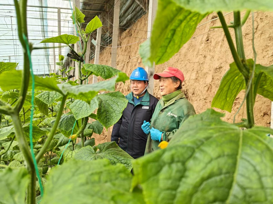 Jiaozuo City in Henan Province ensures an abundant harvest of agricultural products with ample electricity supply