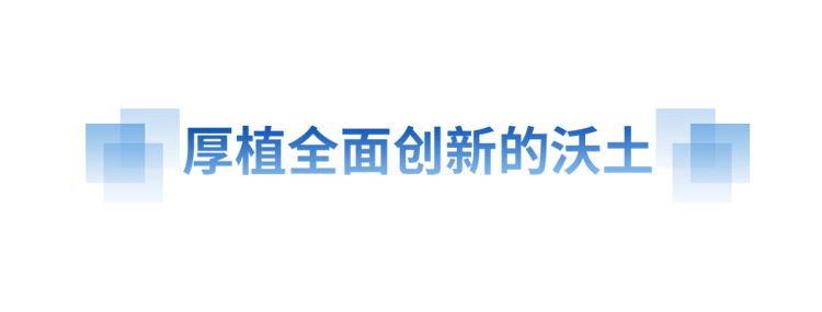 奮進的春天丨向“新”而行 提“質”而上