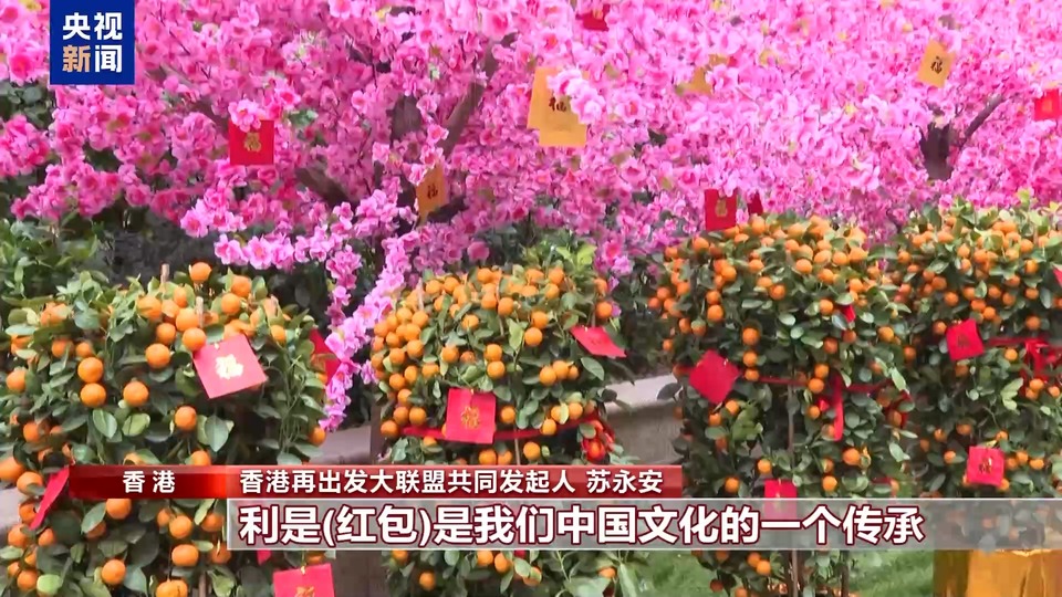 喜樂安寧中國年 香港年宵花市香四溢