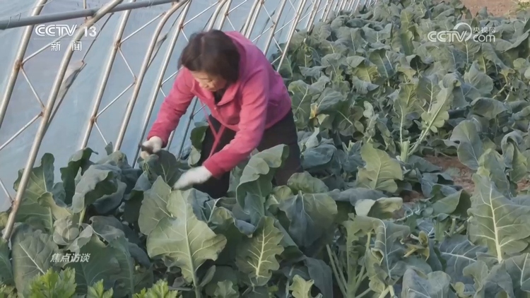 總書記的足跡 | 讓人民生活幸福是“國之大者”