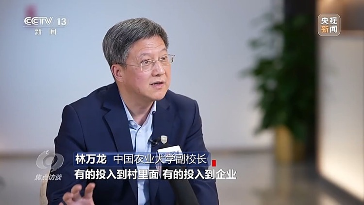 焦點訪談丨如何紮實推進鄉村全面振興？深化改革是關鍵