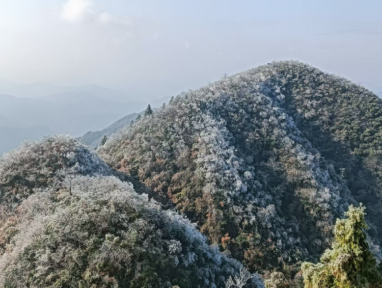 枕山傍水茶生活 泡在安化“漫”時光