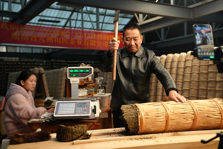 枕山傍水茶生活 泡在安化“漫”時光