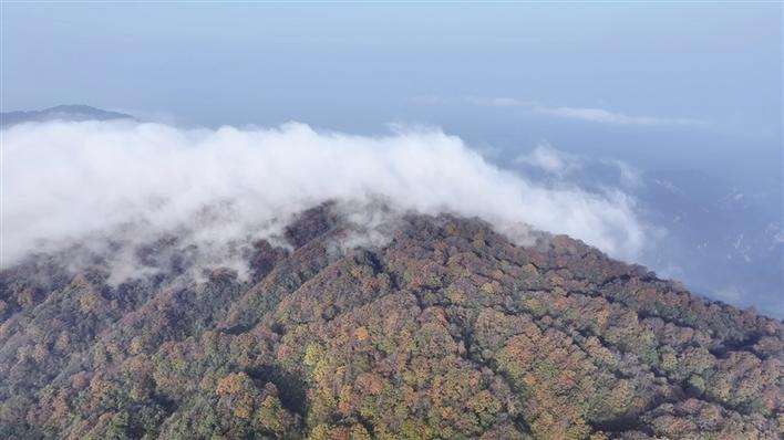 層林盡染八大公山