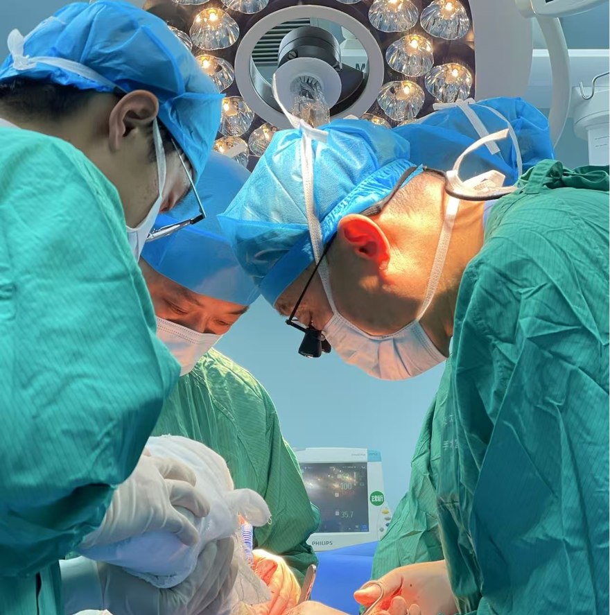 Several Original Minimally Invasive Techniques from the Orthopedic Center of the Second Affiliated Hospital of Xi'an Jiaotong University Gain International Recognition_fororder_圖片2