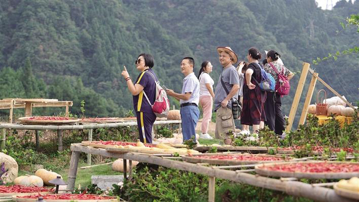 體驗農耕文化 賞曬秋美景