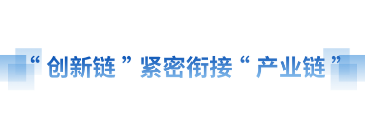 奮進的春天丨向“新”而行 提“質”而上