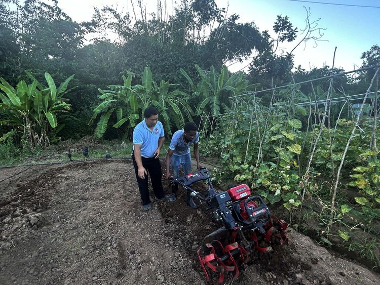 新春走基層丨果蔬栽培、農機駕駛……“中國農業專家帶來的技術讓格林納達農民受益匪淺”