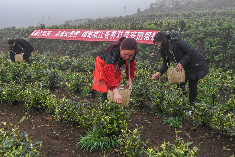 聯播+｜山海協作，一場山與海的“雙向奔赴”