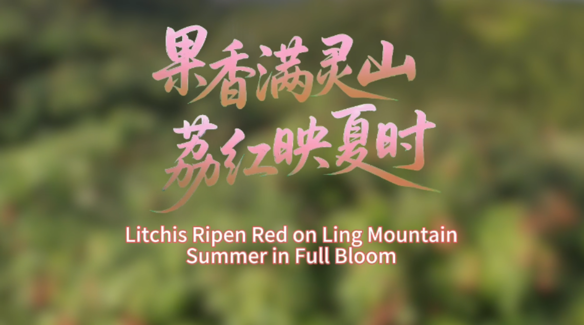 鮮味中國 四季農香|果香滿靈山 荔紅映夏時_fororder_微信圖片_20250620114214