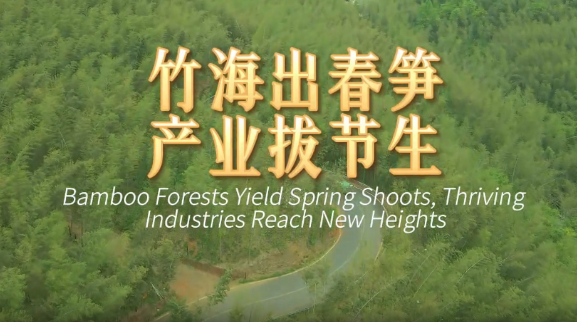 鮮味中國 四季農香|竹海出春筍 産業拔節生_fororder_微信圖片_2025-06-05_103657_476