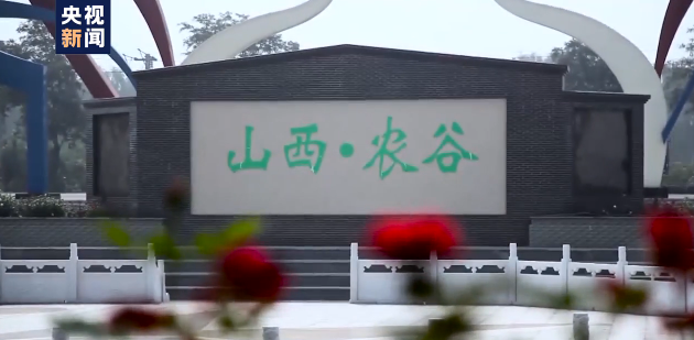 走向我們的小康生活丨山西80後小夥：用科技讓農民富起來！