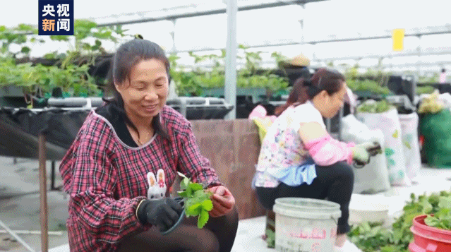 走向我們的小康生活丨山西80後小夥：用科技讓農民富起來！