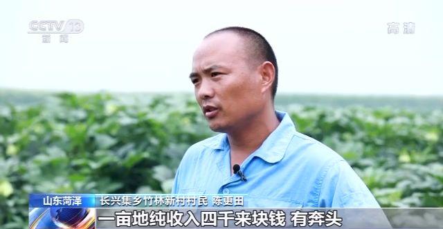 走向我們的小康生活丨山東黃河灘區：農民畫裏的新生活